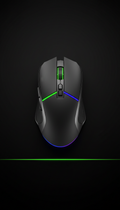 Ratón ergonómico peso ajustable